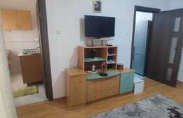 Garsoniera decomandata, 28 mp, zona Kaufland, Manastur !