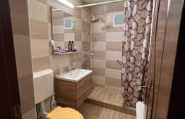 Apartament de 2 camere, decomandat, balcon, zona Scortarilor