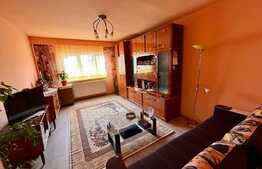 Apartament de 2 camere, decomandat, balcon, zona Scortarilor