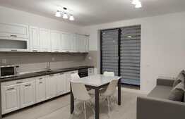 Apartament 2 camere, 45 mp, terasa 20 mp, zona strazii Oasului