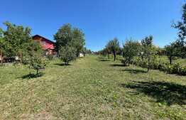 Casa individuala, 200 mp, gradina splendida de 1000mp, Tureni  