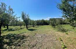 Casa individuala, 200 mp, gradina splendida de 1000mp, Tureni  