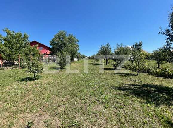 Casa de vânzare 7 camere Exterior Sud - 94506CV | BLITZ Cluj-Napoca | Poza7