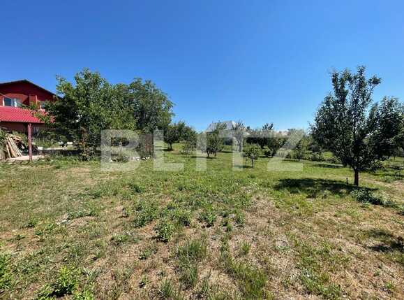 Casa de vânzare 7 camere Exterior Sud - 94506CV | BLITZ Cluj-Napoca | Poza6