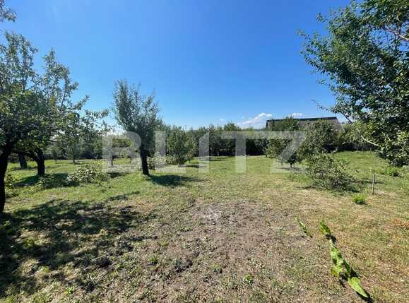 Casa de vânzare 7 camere Exterior Sud - 94506CV | BLITZ Cluj-Napoca | Poza5