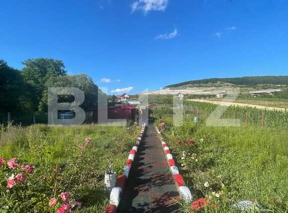 Teren de vânzare Feleacu - 94510TV | BLITZ Cluj-Napoca | Poza3