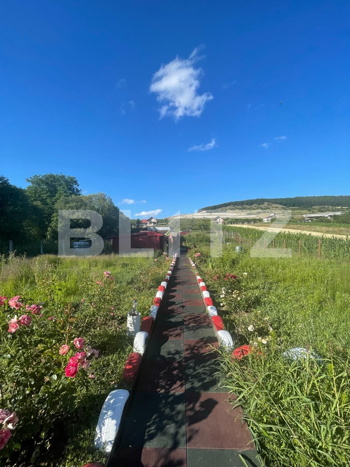 Teren de vânzare Feleacu - 94510TV | BLITZ Cluj-Napoca | Poza3