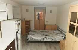 Garsoniera, 25mp, mobilat/utilat, zona strazii Horea