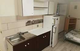Garsoniera, 25mp, mobilat/utilat, zona strazii Horea