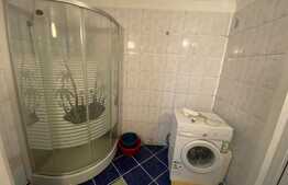 Apartament 2 camere la casa, 60mp, mobilat/utilat, Gheorgheni 