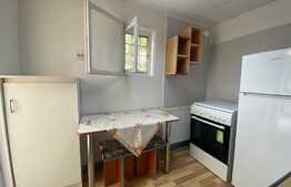 Apartament 2 camere la casa, 60mp, mobilat/utilat, Gheorgheni 