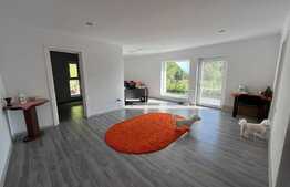 Casa pe un singur nivel, curte si gradina de 1700 mp, sat Corpadea