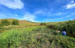 Casa pe un singur nivel, curte si gradina de 1700 mp, sat Corpadea