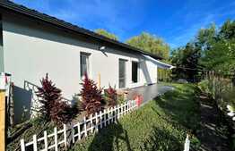 Casa pe un singur nivel, curte si gradina de 1700 mp, sat Corpadea