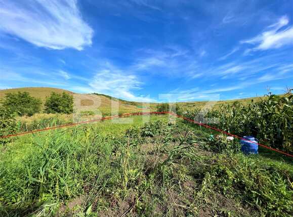 Casa de vânzare 4 camere Apahida - 94560CV | BLITZ Cluj-Napoca | Poza13