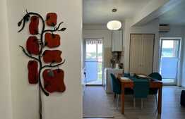 Apartament 3 camere, modern, 52 mp, zona Muzeul Apei 