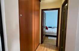 Apartament 3 camere, modern, 52 mp, zona Muzeul Apei 