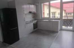 Apartament 3 camere mobilat lux, 70mp, zona Teilor