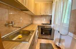 Apartament de 2 camere, 31 mp, complet renovat, zona Brancusi