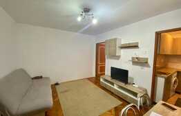 Apartament de 2 camere, 31 mp, complet renovat, zona Brancusi