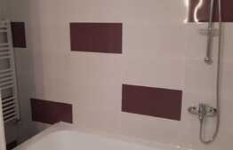 Garsoniera spatioasa, 40mp, bloc nou, etaj intermediar, cartier Mărăști