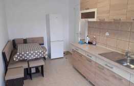 Garsoniera spatioasa, 40mp, bloc nou, etaj intermediar, cartier Mărăști