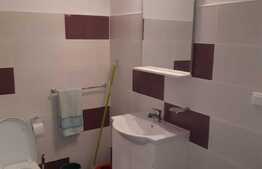 Garsoniera spatioasa, 40mp, bloc nou, etaj intermediar, cartier Mărăști