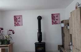 Casa individuala, 200 mp, 800 mp teren, Baciu