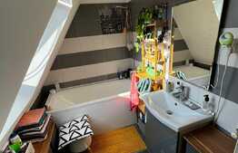 Apartament de lux, 3 camere, 54 mp, zona Teilor