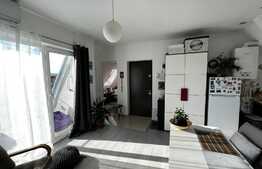 Apartament de lux, 3 camere, 54 mp, zona Teilor