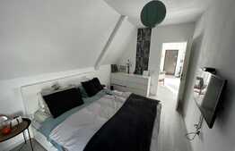 Apartament de lux, 3 camere, 54 mp, zona Teilor