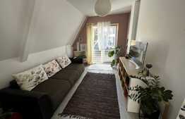 Apartament de lux, 3 camere, 54 mp, zona Teilor