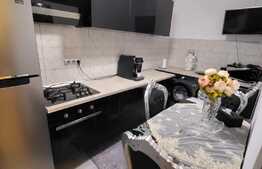 Apartament finisat, 2 camere, parcare, terasa 70mp, zona Terra