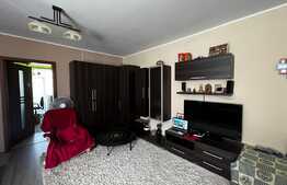 Apartament 3 camere, etaj intermediar, 2 parcari, zona Tineretului