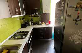 Apartament 3 camere, etaj intermediar, 2 parcari, zona Tineretului