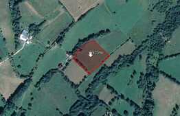 Teren pretabil investitie, constructie turism, 4400mp, zona Bran Tohanita 