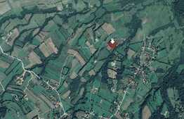 Teren pretabil investitie, constructie turism, 4400mp, zona Bran Tohanita 