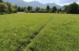 Teren pretabil investitie, constructie turism, 4400mp, zona Bran Tohanita 