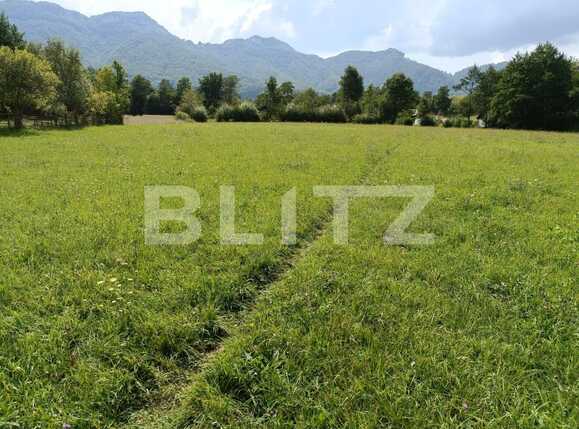 Teren de vânzare Bran - 94674TV | BLITZ Brașov | Poza2