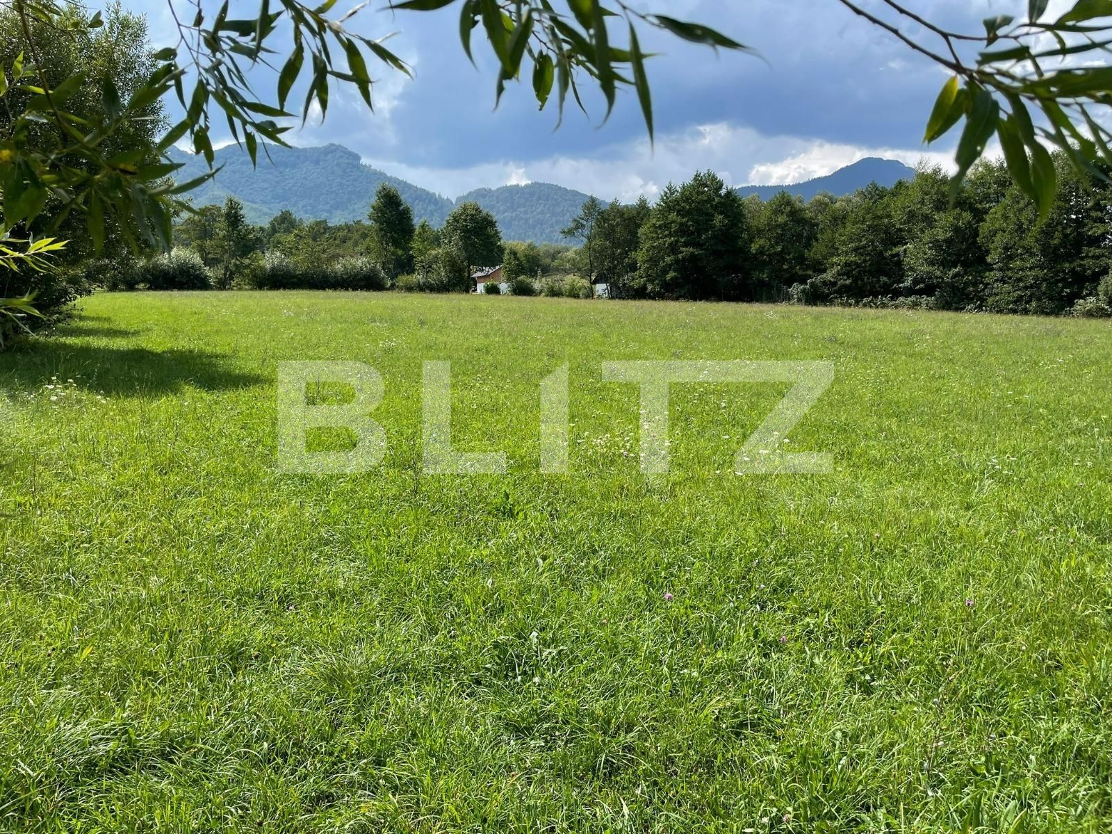 Teren de vânzare Bran - 94674TV | BLITZ Brașov | Poza3