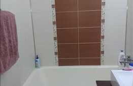 Apartament 3 camere, 48 mp, mobilat modern, zona strazii Alexandru Vlahuta