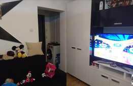 Apartament 3 camere, 48 mp, mobilat modern, zona strazii Alexandru Vlahuta