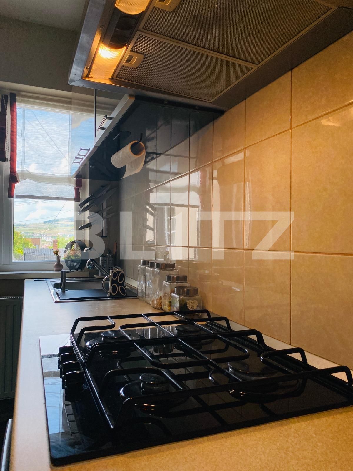 Casa de închiriat 4 camere Gruia - 94728CI | BLITZ Cluj-Napoca | Poza17