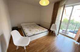 Apartament 3 camere, 62 mp, pet friendly, zona Muzeul Apei