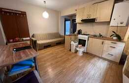 Apartament 3 camere, 62 mp, pet friendly, zona Muzeul Apei