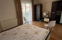 Apartament 3 camere, 62 mp, pet friendly, zona Muzeul Apei