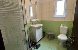 Apartament 3 camere, 62 mp, pet friendly, zona Muzeul Apei