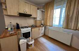 Apartament 3 camere, 62 mp, pet friendly, zona Muzeul Apei