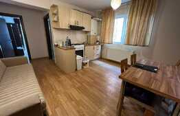 Apartament 3 camere, 62 mp, pet friendly, zona Muzeul Apei