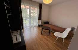 Apartament 3 camere, 62 mp, pet friendly, zona Muzeul Apei